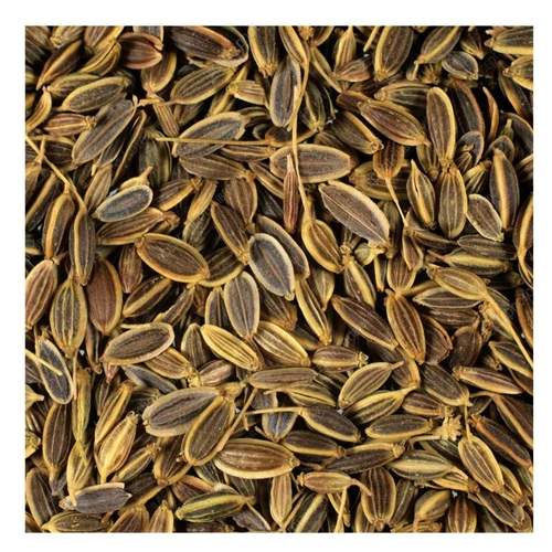 Dill Seeds